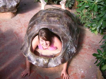 perrine tortue