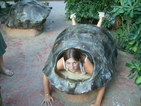 moi tortue